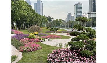 來現(xiàn)場打卡，感受“美麗無錫”的美好